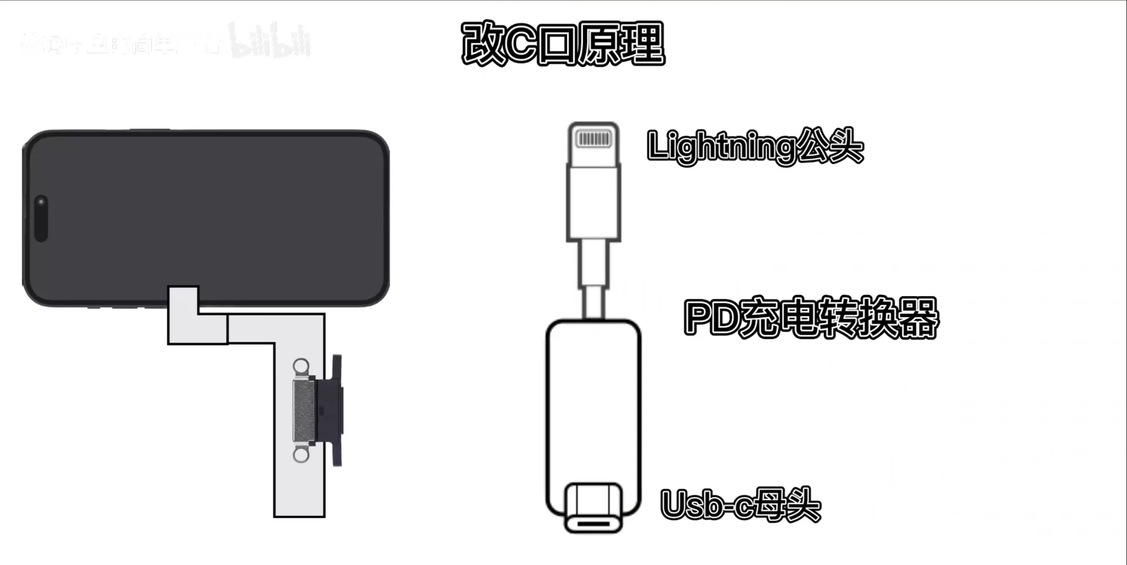 Type C iPhone 的結構示意圖