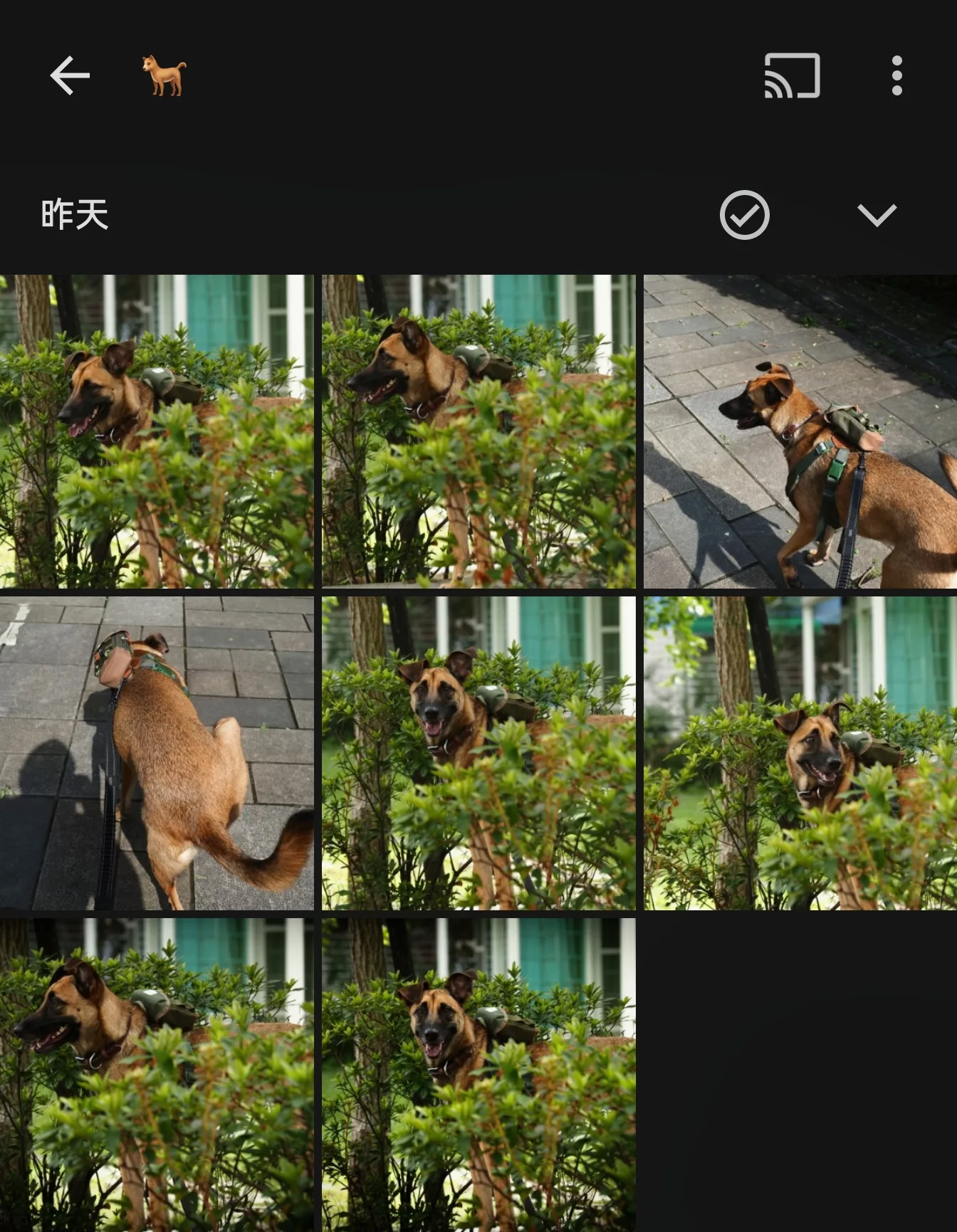 Google Photos 隱藏玩法：用 Emoji 搜尋照片 Google Photos AI, 產業, 能源